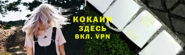 бошки Армянск