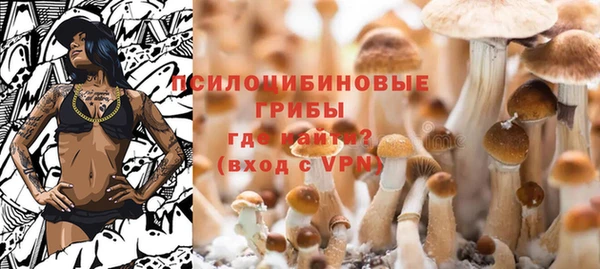 соль ск Аркадак