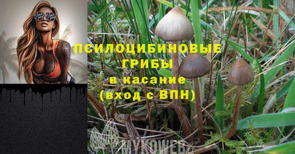 бошки Армянск