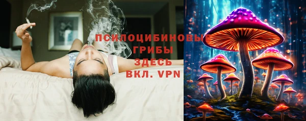 ALPHA PVP Арсеньев