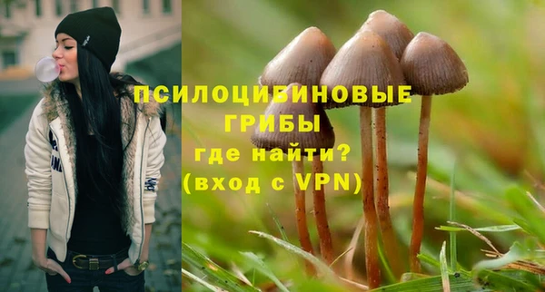 соль ск Аркадак