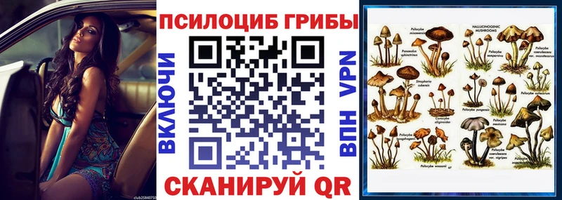 Псилоцибиновые грибы Psilocybe  где купить   Ухта 