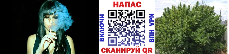 Канабис THC 21%  кракен ССЫЛКА  Ухта  где купить  